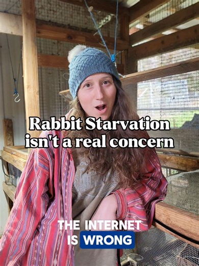 We get comments ALL the time that warn us about rabbit starvation 🫣 We have no concern. 🐰 We eat a balanced diet on our homestead and are aware that eating any of just ONE food will likely cause problems. 🤠 What do you think about this phenomenon?🤔 #homesteading #rabbitmeat #rabbitstarvation #meatrabbits #cookingrabbit