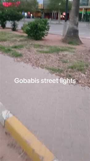 Fixing Street Lights in Gobabis