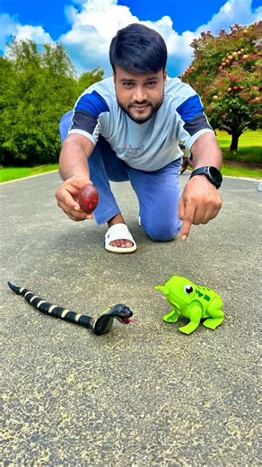 Unboxing Amr RC Frog and Big Snake🐍 🐸