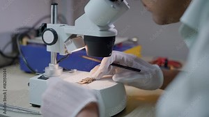 A close shot of a man's hands who is working with a microscope, a lab worker examines the chip and corrects the details