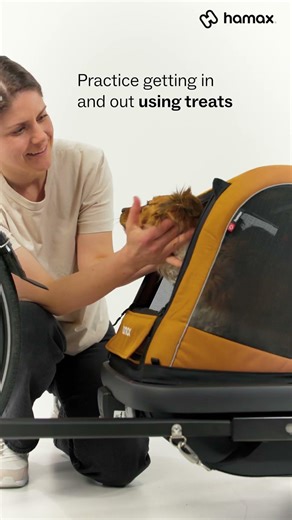 How to get your dog comfortable in a bike trailer - Hamax Milou