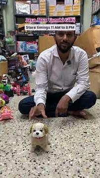 Jaya Jaya Varahi Gifts Hyderabad | Low-Cost Toys & Gift Collection