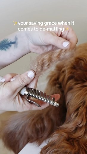 2.9K views · 1.1K reactions | Got mats? Don’t worry, we’ve got you covered! Our best selling Pup Parent Essentials Kit has the tools to safely and properly remove mats from your pups fur! | Pupwell | Facebook