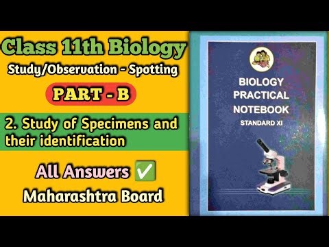 2: Study of Specimens and their identification | PART - B | Practical Answer | 11th Biology