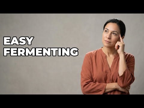 What Fermentation Crock Is Best For Beginners?