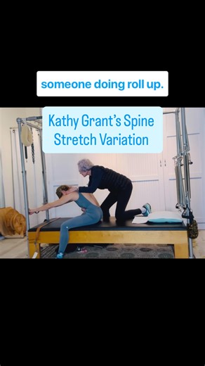 🎉 Kathy Grant taught me this special version of Spine Stretch on the Cadillac 🤔 I suspect she may even have invented this variation for me and other clients who tended to « pop » their front ribs out into thoracic extension when reaching overhead ❤️ I love the partnering here, and oppositional energy of reaching forward in Spine Stretch while simultaneously pulling the ribs and lumbar spine back, deepening the Pilates « Scoop »‼️ Once again, my excellent student is @katie_contrology 🙏👏😄 #ji