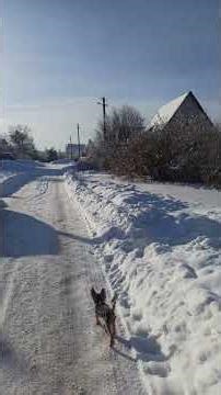 Moments of the past winter. January 13 and 18-19, 2026 #winter #snowflake #snow #frost