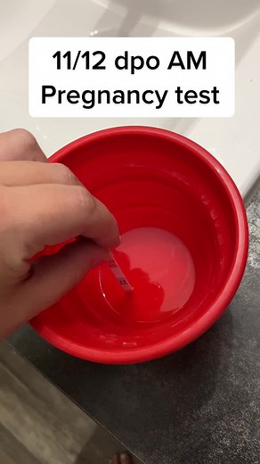 11/12 dpo am pregnancy test. This test was only taken 12 hours after last night and I know HCG doubles every 48ish hours. I'm staying positive and happy there is still a line this morning 🥺💛🌈 #ttc #ttccommunity #unexplainedinfertility #ttcafterloss #pregnancytest #letrozole #progesterone #birdandbe #11dpo #infertilityjourney #infertility #babynumbertwo #rainbowbaby