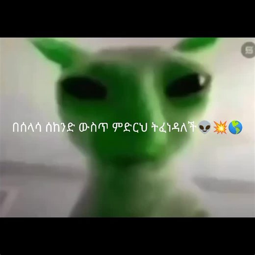 Alien Cat Meme: The Funniest Moments