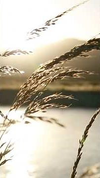 LORD in the Morning (Yeshua) - Official Lyric Video - Marty Goetz #worship #Yeshua #messianic