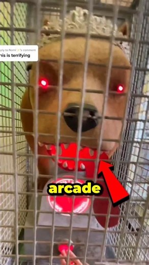 This Arcade Game Shows How Brave You Are🤯 (@joshua_cubed)