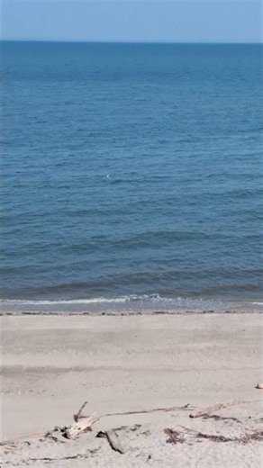 Beach along the Long Island Sound #ny