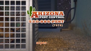 Providing Pack Rat Control and Rodent Management Solutions throughout Tucson, Green Valley, Oro Valley, Saddlebrooke, Vail, Corona De Tucson, and Marana. Call us at 520-886-7378 to schedule a free no obligation home pest evaluation. https://www.azpest.com/ | Arizona Pest Control