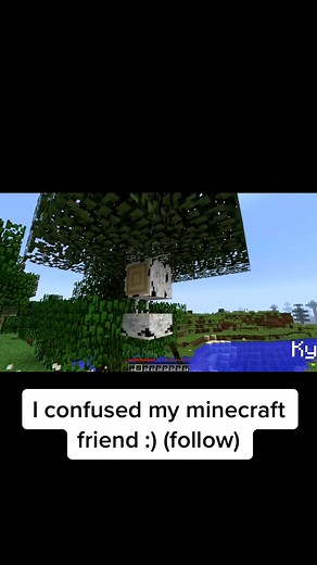 Confusing minecraft #minecraft #minecraftpe #gaming #tiktokgaming #meme #memes #fyp #foreyou