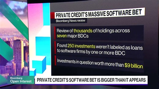 Private Credit's Software Bet Is Bigger Than It Appears