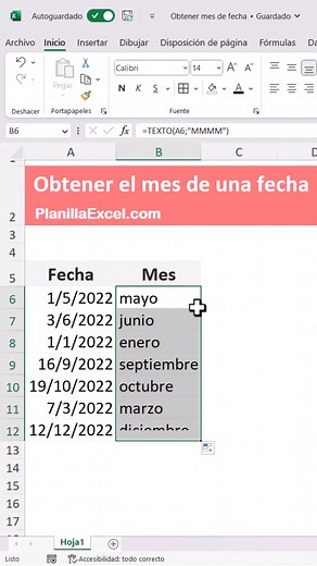 ¿Necesitas saber qué mes corresponde a una fecha? Te explicaré 3 métodos para lograrlo. 🎥¿Quieres ver más trucos y tips de Excel en menos de 60 segundos? Revisa la lista de reproducción de los #shortsfeed https://youtube.com/playlist?list=PLFDnlHa53NZkosIwX2NVgx-bDQBnpmicB 🔔 Suscribete a nuestro canal de YouTube https://www.youtube.com/channel/UCi11YXKsfSXkyzqAFqHDDWw?sub_confirmation=1 | PlanillaExcel.com
