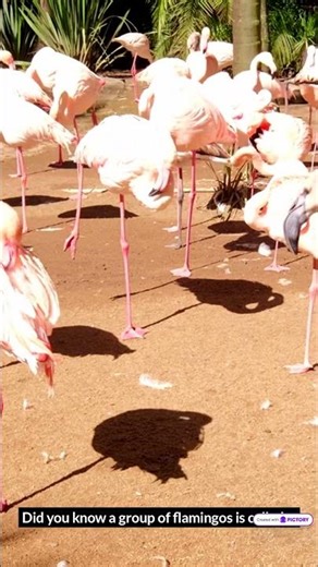 Facts which looks fake but are real