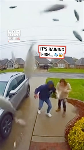 Not what you'd expect first thing in the morning 🤯🐟 | LADbible