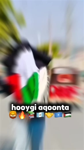 Exploring the Awdal State Gangs Phenomenon