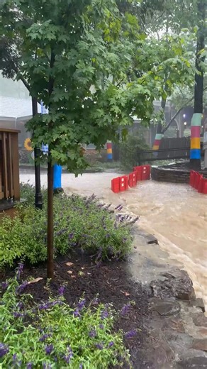3.4M views · 12K reactions | FLOODING AT DOLLYWOOD: Check out this video of some flooding at Dollywood. A Flash Flood Warning has been issued for Sevier County until 9:45 p.m. https://tinyurl.com/6jvz9bck  Bailey Elkins Berry | WVLT | Facebook