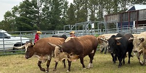 ‘Roller coaster’ of a rodeo happening this weekend in Carney