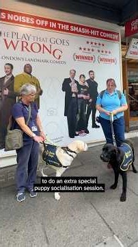 The Play That Goes Wrong but the puppies go right! #GuideDogs #ThePlayThatGoesWrong #Shorts