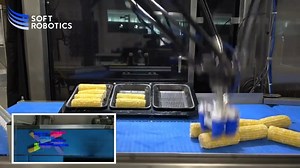 3.4K views · 156 reactions | Soft Robotics' high-speed produce automation solutions combining 3D perception, soft grasping and artificial intelligence are solving workforce shortages and enabling produce processors to maintain efficiencies and increase profits. Video credits: Soft Robotics Inc. #automation #robotics #technology #engineering #AI #SoftGrasping #SoftRobotics | Wevolver.com | Facebook