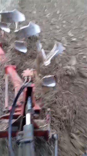 Na prodaju trobrazni plug prevrtac U extra stanju, garancija Mogucnost i dovoza pluga 0645063865 #domace #fypシ゚viralシ #viralvideochallenge #dostava #setva | Sargarepa Za Ishranu Zivotinja