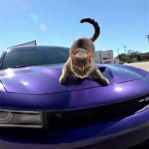 Code Just Got Unhinged 😅 | AI Short