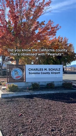 Visit California | Travel + Fun Things to Do on Instagram: "Did you know the California county that’s obsessed with Snoopy and the gang is even better during the holidays? 🎅 After landing at the “Peanuts”-themed Charles M. Schulz @Sonoma_County_Airport in Santa Rosa, stop by the @SchulzMuseum to see exhibits celebrating the beloved comic strip. 🥜 Then head to the Charlie Brown Christmas Tree Grove in Windsor. 🎄 End the night with ice skating on @SnoopysHomeIce. ⛸️ Send this to a “Peanuts” fan