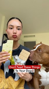 Don’t Feed These Things To Your Dogs 🦮❗️ | Dogs Your Friends Forever