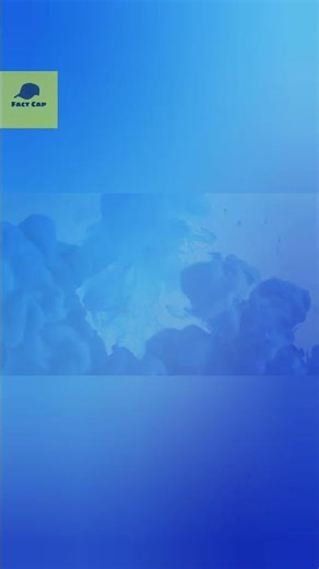 octopus ke 3 dil! 😱