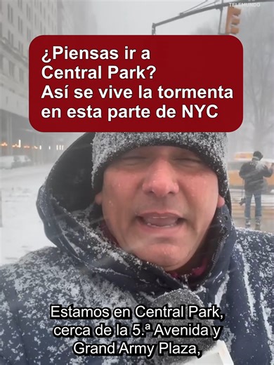 Central Park se convierte en un paraíso invernal durante las tormentas. Pero, ¿es seguro visitarlo? ¿Cuál es la condición? ¿Qué medidas toma la ciudad? Nuestro Gaby Acevedo con los detalles.