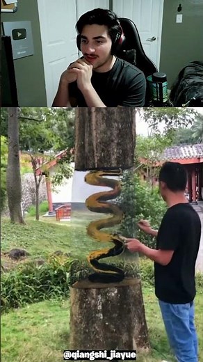 ARTIST CREATES TRIPPY TREE ILLUSION #shorts