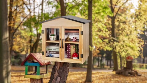 Outdoor Library Outdoor Book Box Storage Wooden Cabinet Little Literature Box for Neighborhoods Community and Schools Sharing Books, Flyers, Newspapers, Food and Art(C)