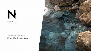 USING THE RIPPLE SOLVER