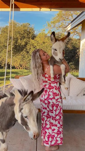 366K views · 32K reactions | Bought a piece of dirt and have developed every inch ourselves. Damn proud of how much we have accomplished in 6 years. Who is on a homesteading DIY journey ? Id love to hear what you are working on! Link in my bio for all of our homestead, non-toxic & diy favorites   #diy #homestead | Thermaland Oaks | Facebook