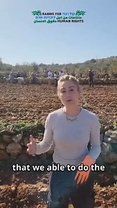 Join Planting Justice - twice a week planting olive trees with Palestinian communities across the West Bank - sign up here in first comment | Rabbis for Human Rights