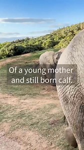 1.8M views · 60K reactions | Absolutely left in awe of intelligence...