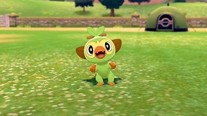 9K views · 850 reactions | Grookey is so happy to see you that it's jumping with joy! ♥ reacts only to play along with Grookey! | Pokémon | Facebook