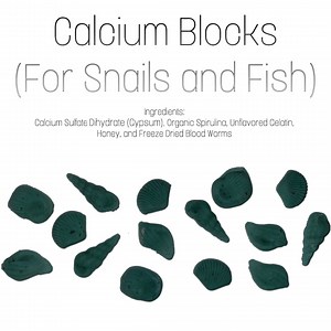 Aquatic Snail Calcium Blocks With Spirulina (supplement for Snails, Fish, and Shrimp) Homemade!!! - Etsy