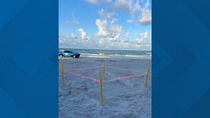 First sea turtle nest of the season spotted by CMA