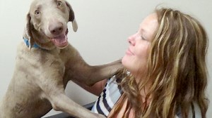 Pilots N Paws saves four-legged lives