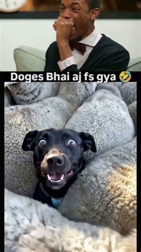 mamu tu yaa ...😅😅 #funny #funnyvideos