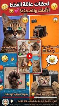 قطط كيوت ومضحكة 😂🐱 أجمل لحظات القطط 🤣❤️ #قطط