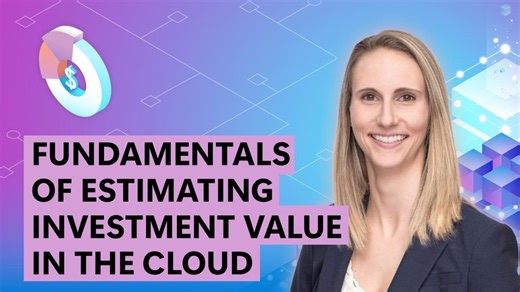 Fundamentals of Estimating Investment Value in the Cloud
