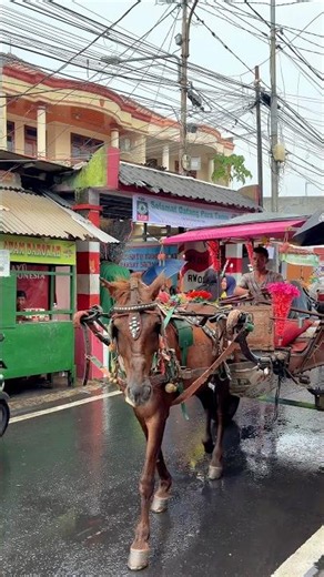 Riding a Special Horse-Drawn Carriage 😍 #shorts