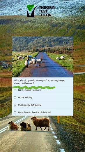 20K views · 432 reactions | #TheoryTestPractice #theorytestuk #theorytestpractice #theorytestpassed #TheoryTestTips | Theory Test Tutor | Facebook