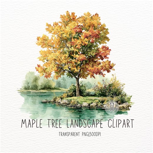 11 Maple Tree Landscape Clipart | Watercolor Autumn Nature PNG Transparent Background - Etsy Canada