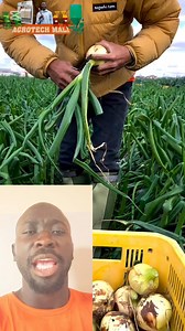 60K views · 1.6K reactions | Tu peux être le plus travailleur et pourtant rester pauvre, car tu utilises tes muscles et non ton intelligence. Aujourd’hui, il faut travailler intelligemment : investis dans les machines, augmente ta production et fais du profit !  » | La grande poussinière | Facebook